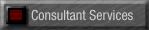 Consulting Services